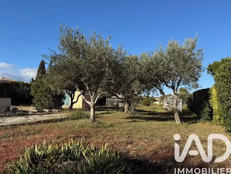 vente terrain 467 m² à pia (66380)  115 000 €