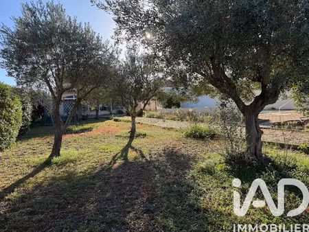 vente terrain 501 m² à pia (66380)  140 000 €
