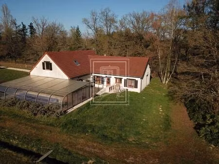 nemrod immobilier