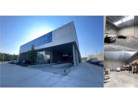 surface industrielle à louer à nachtegaalstraat 10 erembodegem (rbv54567)