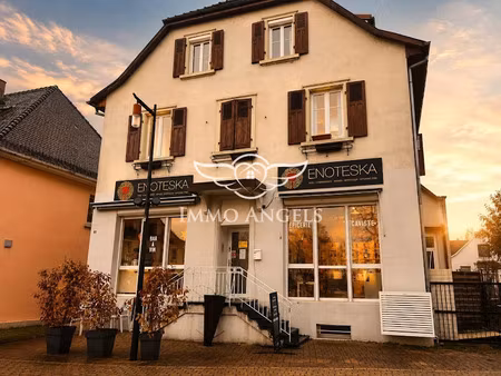 vente locaux professionnels 0 pièces 93 m² à bartenheim (68870)  286 000 €