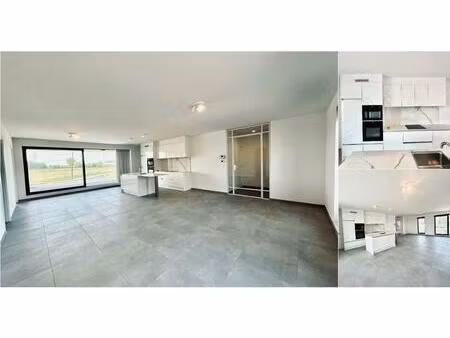 appartement à louer à kromstraat 1c beveren (rbv54574)