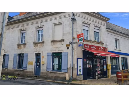 vente immeuble 213 m² à beaufort-en-vallée (49250)  315 000 €