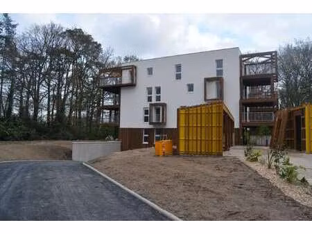 vente appartement 2 pièces à haute-goulaine (44115) : à vendre 2 pièces / 45m² haute-goula