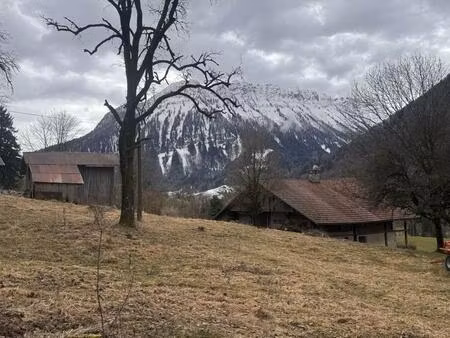 maison et grand terrain 7 pièces