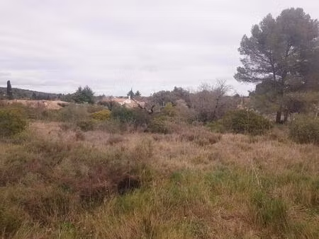 terrain constructible