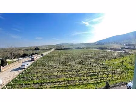 appartement totalement rénové avec place de parking