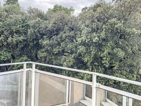 t2 non meublé vue jardin des plantes