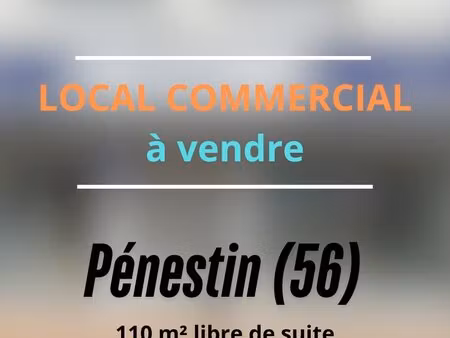 immobilier professionnel à vendre pénestin