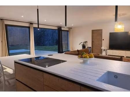 magnifique maison contemporaine très lumineuse