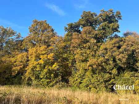 avilly st léonard - terrains forestiers non constructibles