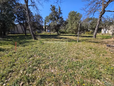 vente terrain 593 m² saint-didier (84210)