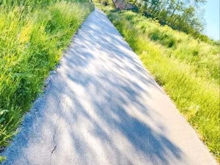 je recherche une maison en location autour de chalon avec un petit jardin. ■loyer maxi 800