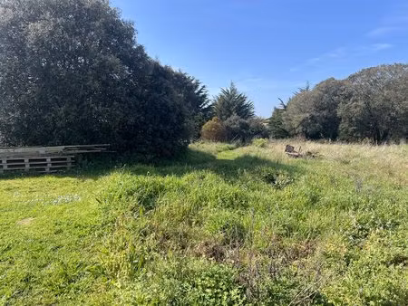 superbe parcelle de terrain carrée