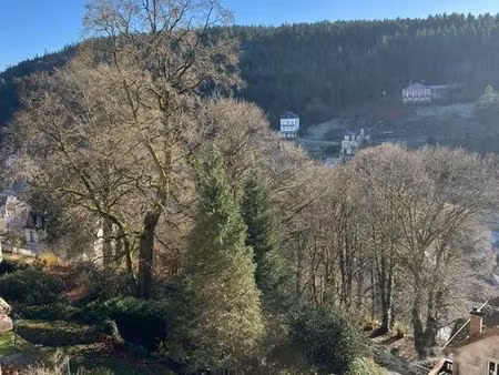 f3 plein sud  magnifique vue plombières-les-bains et ses forêts