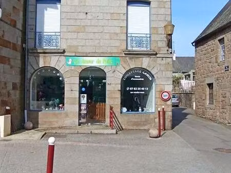vente immeuble à maen-roch (35460) : à vendre / maen-roch