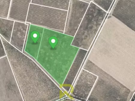 vente terrain 12411 m² raissac-d’aude (11200)