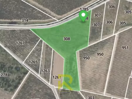 vente terrain 9750 m² raissac-d’aude (11200)