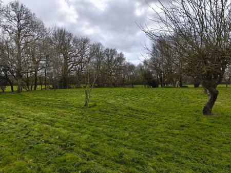 superbe longère t3 : le cellier