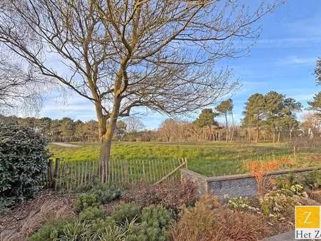 maison à louer à knokke € 4.500 (lmguu) - agence het zoute | zimmo