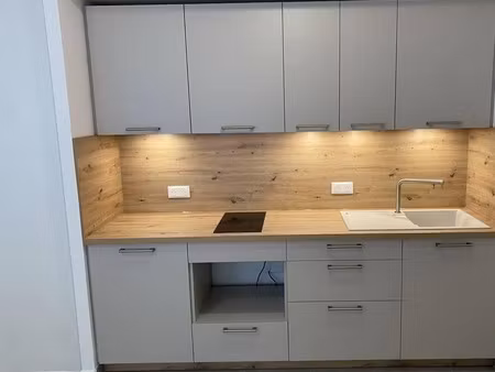 appartement en location - issy-les-moulineaux (92130)