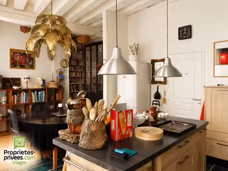 vente à terme occupée maison d'artiste chatillon sur loire