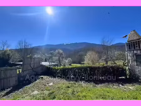 vente maison 4 pièces 110 m² à orgibet (09800)  60 500 €