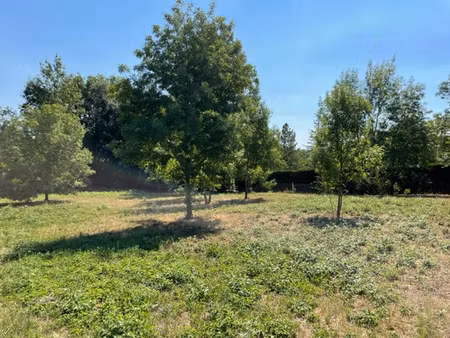 achat terrain 1 633m² revel 31250