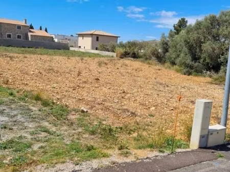 achat terrain 1 118m² la palme 11480