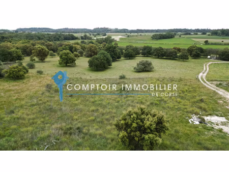 aléria - terrain de 3 000 m2 + permis d'une maison accordé e
