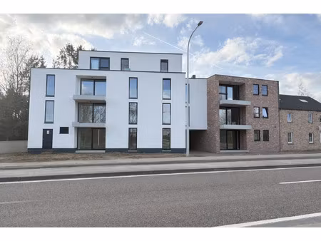 appartement te huur in maasmechelen met 1 slaapkamer