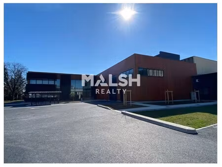 location local professionnel 285m²