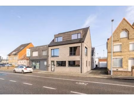 energiezuinige woning met loods van 250m².