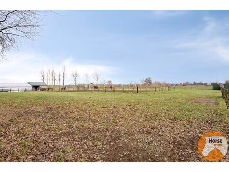 lochristi - rustig gelegen stalgebouw op +- 2 3ha