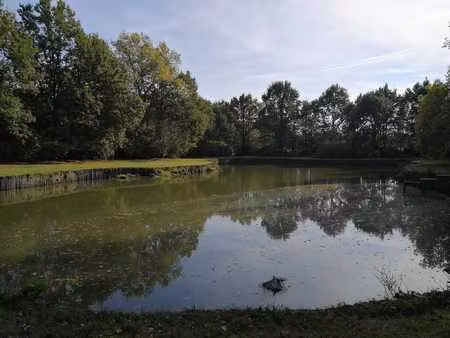 grond te koop in veerle