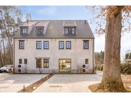 hoogstraat 113b  3690 zutendaal