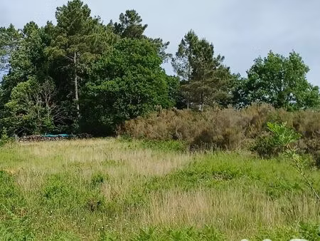 terrain à bâtir à tamniès (24620)