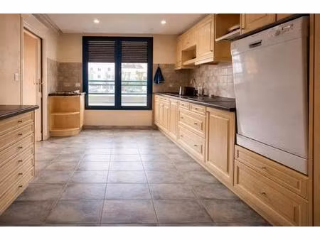 appartement d'exception avec vue sur la vézère - centre-ville de terrasson-lavilledieu (24