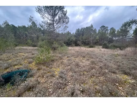 annonce terrain à vendre