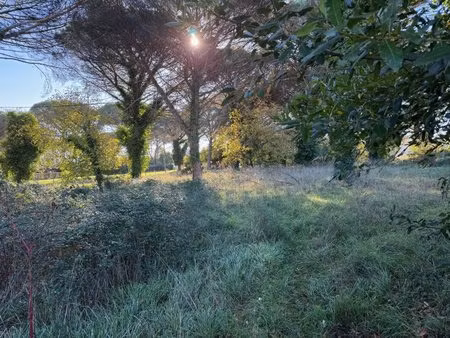 terrain à bâtir à langon (33210)
