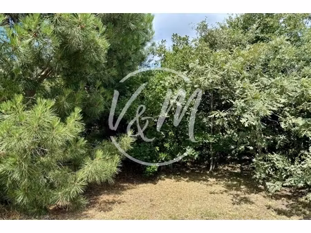 annonce terrain à vendre