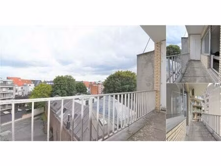 appartement à louer à van breestraat 5 anvers (rbv54746)