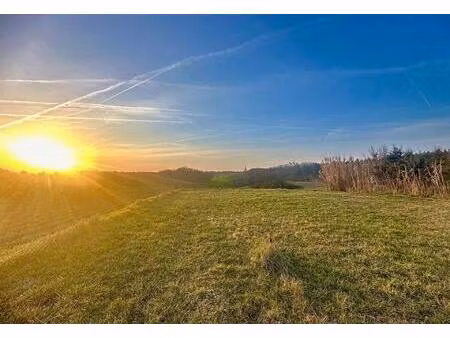 vente terrain 450 m² villeneuve-lès-bouloc (31620)