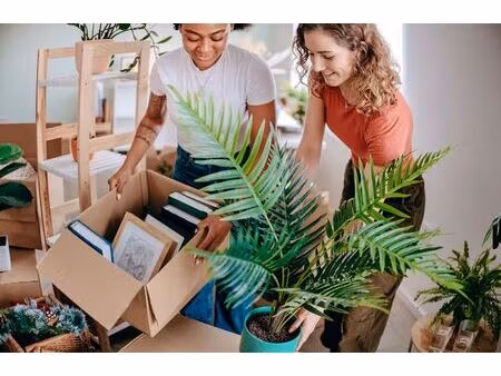 vente programme neuf t1  t2  t3 pièces 24 à 55 m² montussan (33450)