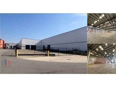 surface industrielle à louer à bosstraat 46 lummen (rbv54726)