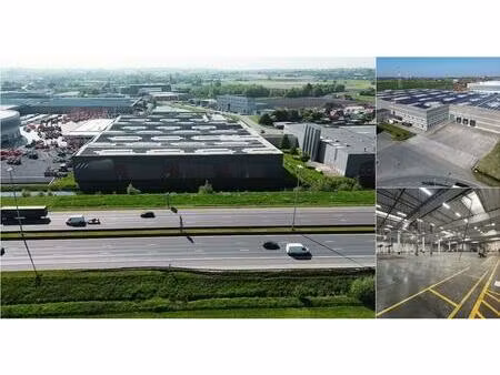 surface industrielle à louer à mannebeekstraat 6 waregem (rbv54701)