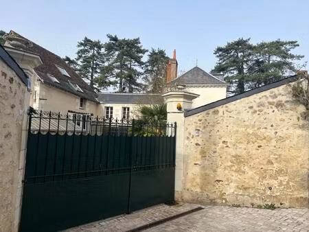 vente immeuble 420 m² saint-avertin (37550)