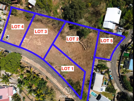 exclusivite a la possession (boeuf mort) - 5 parcelles de t