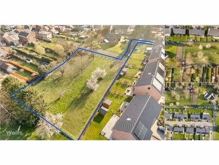 terrain à vendre à rue du 11 novembre oupeye (vbe01964)