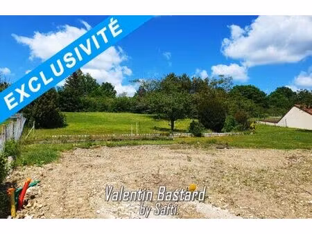 vente terrain 1716 m² saint-martin-le-beau (37270)